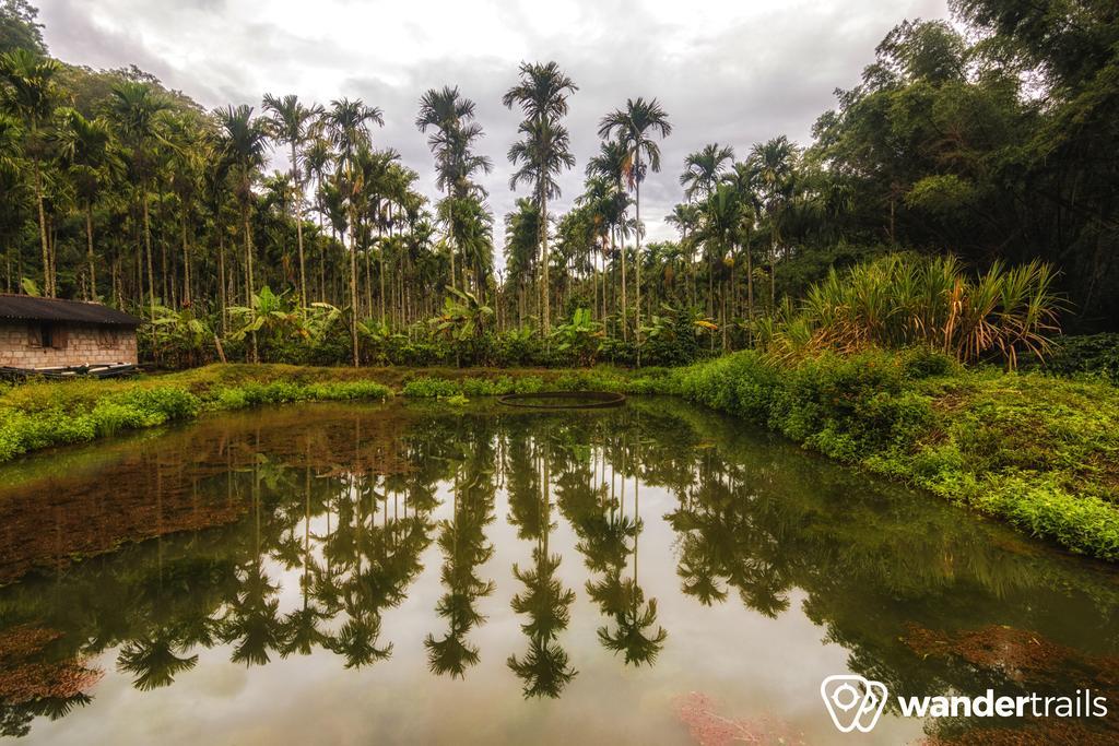Farm stay Whispering Willows Gudalur (Nilgiris)